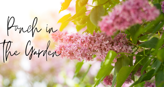 Punch in the Garden-Inspire